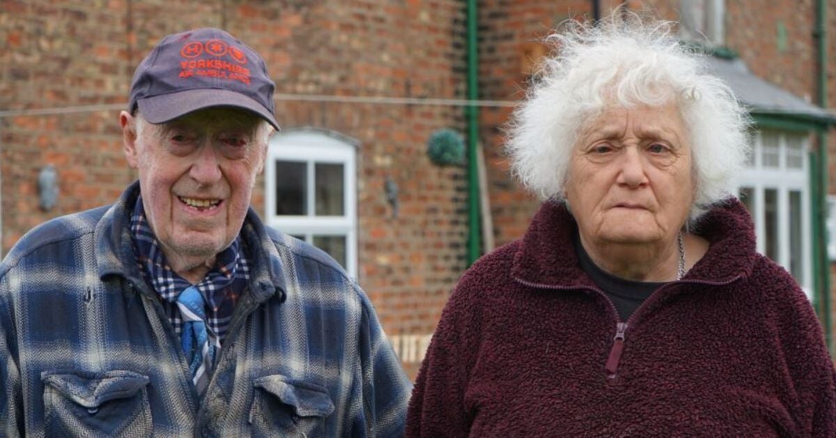 The Yorkshire Vet stars Jean and Steve Green talk 'retirement plans' on Channel 5 spin-off