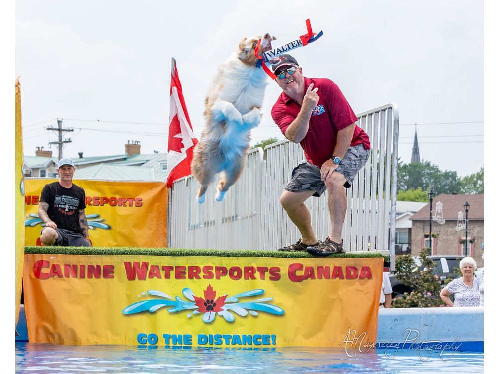 Toronto Waterfront Festival Announces 2024 Event