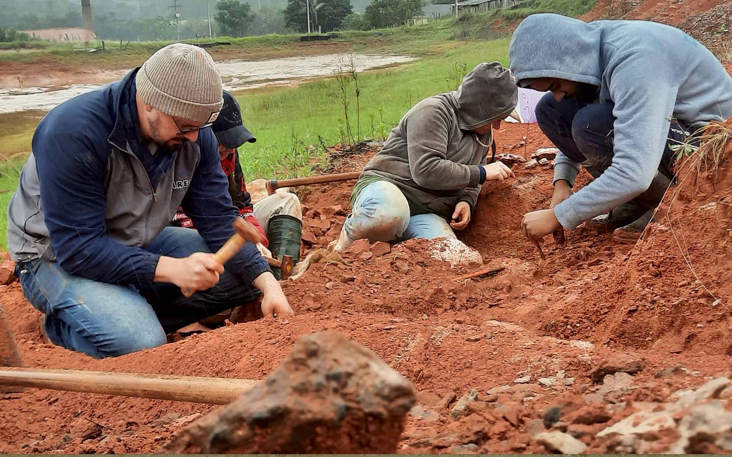 Torrential rains reveal a near-complete dinosaur skeleton in Brazil