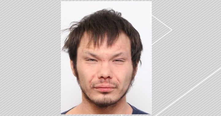 Violent sexual offender, known to prey on girls, released again in Edmonton: police