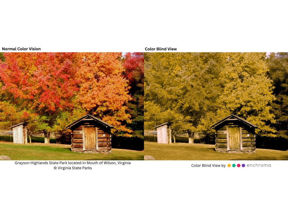 Virginia State Parks Becomes First in the Nation to Install EnChroma-adapted Viewfinders for Colorblind Guests at Every Park