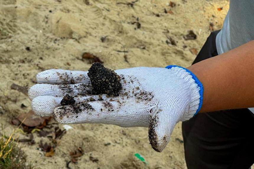 Volunteers needed to remove tar balls from some beaches affected by oil spill: Grace Fu
