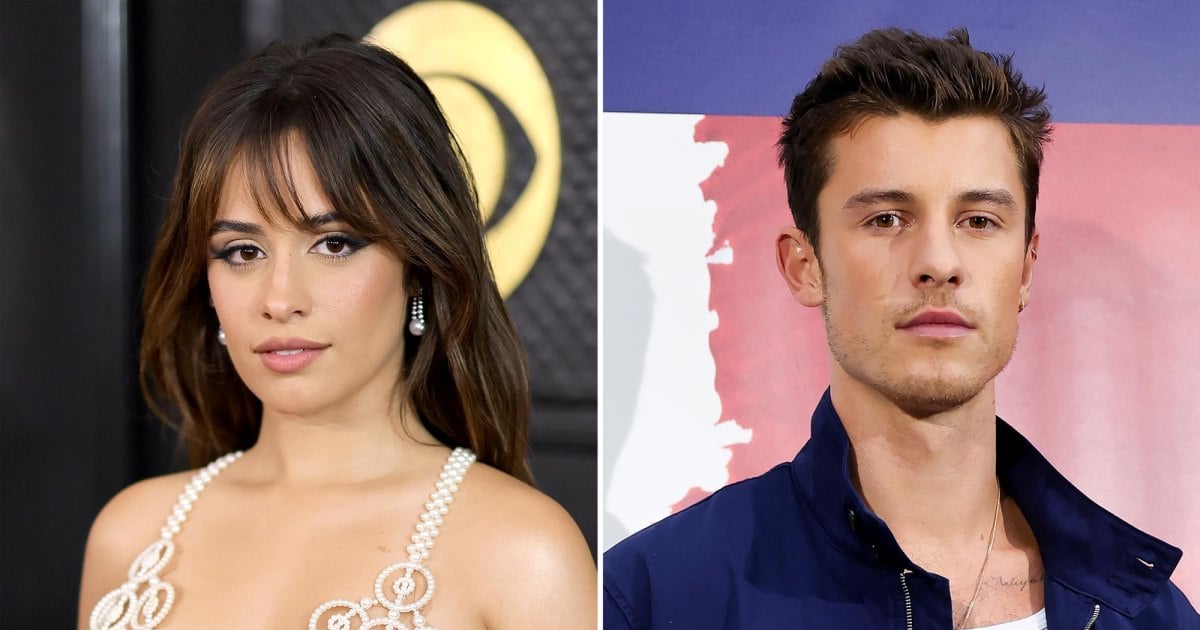 Where Camila Cabello and Ex Shawn Mendes Stand After 'Friendly' Reunion