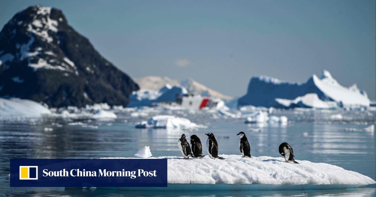 Will Southern Ocean carbon studies led by China, UK spur climate modelling rethink?