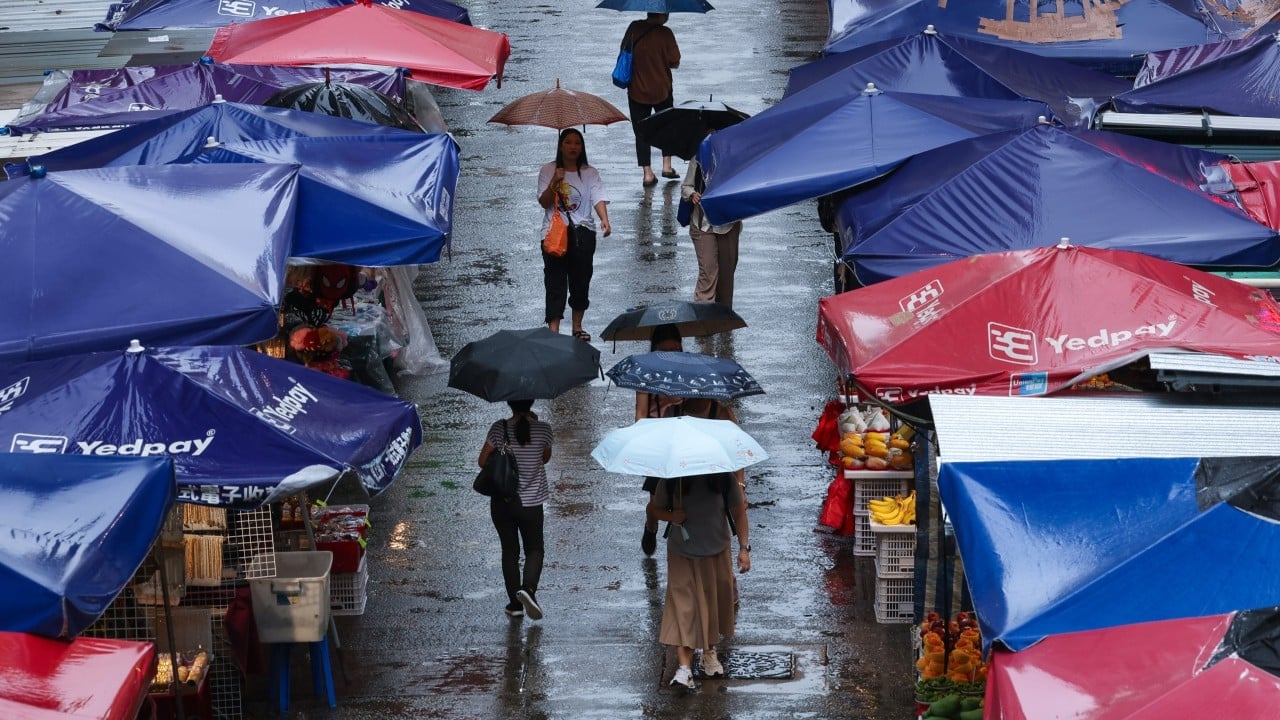 Winds, thunderstorms hit Hong Kong as residents brace for days of unsettled weather
