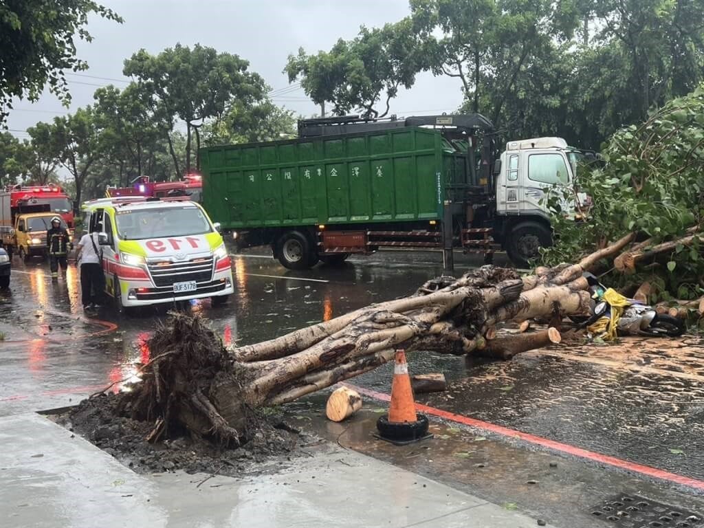 Woman killed by falling tree in southern Taiwan as Typhoon Gaemi nears