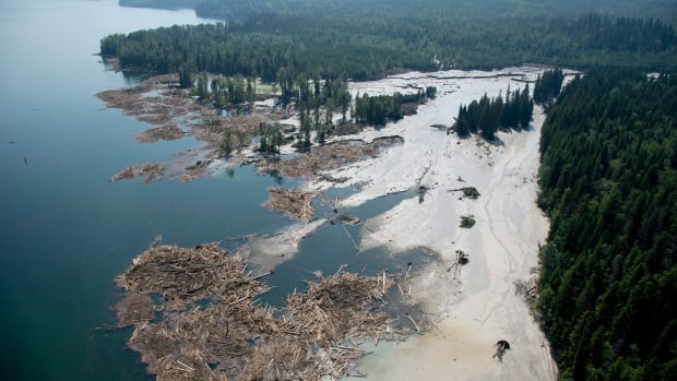 10 years after B.C.'s Mount Polley mine spill, residents worry not enough has been done to rehabilitate waterways