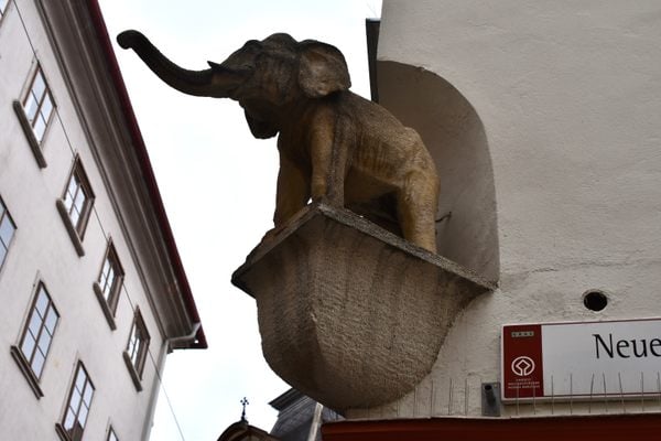 Der Kleine Elefant in Graz, Austria