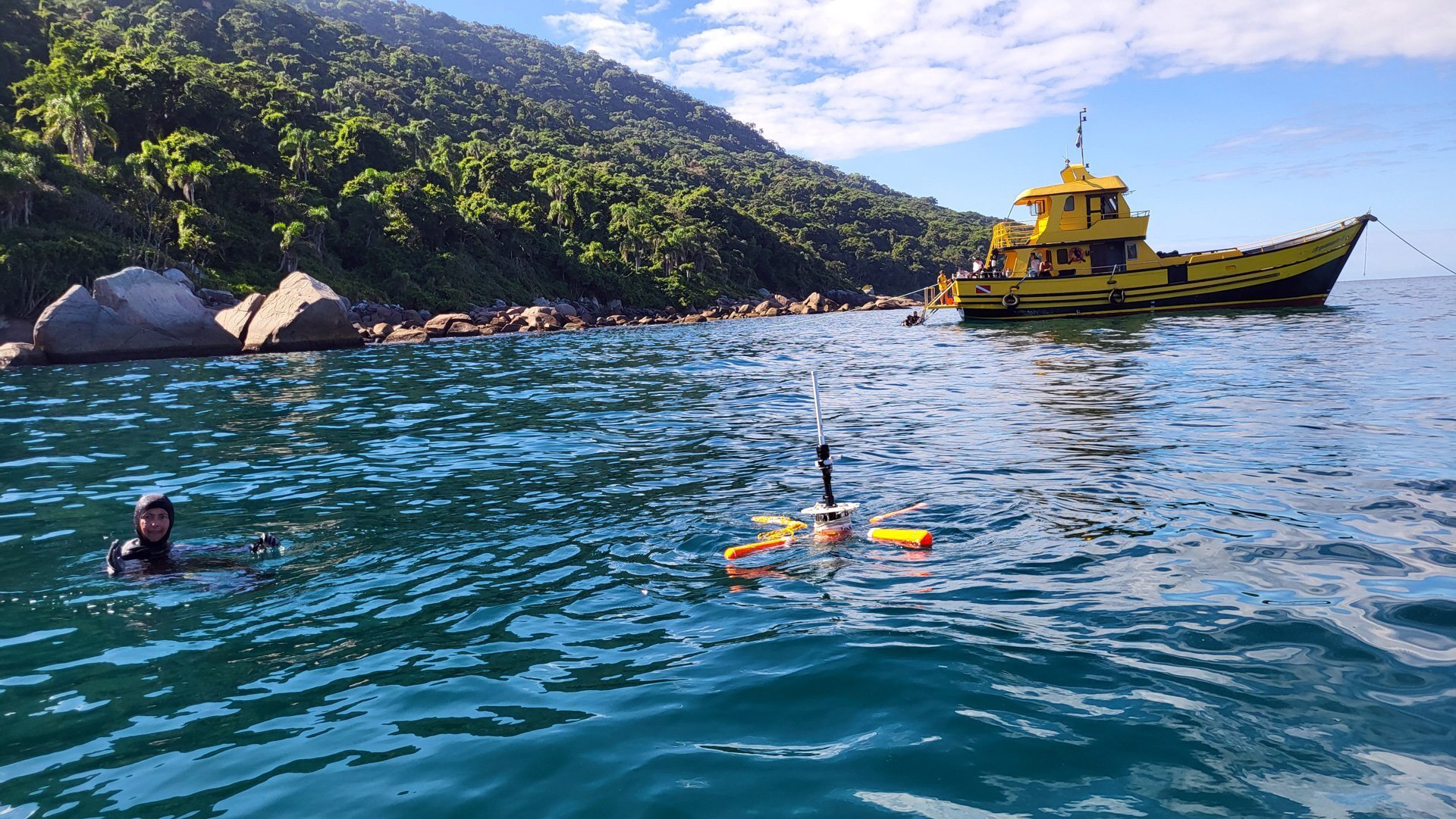 How technology and robotics are helping Brazil monitor and control an invasive coral species