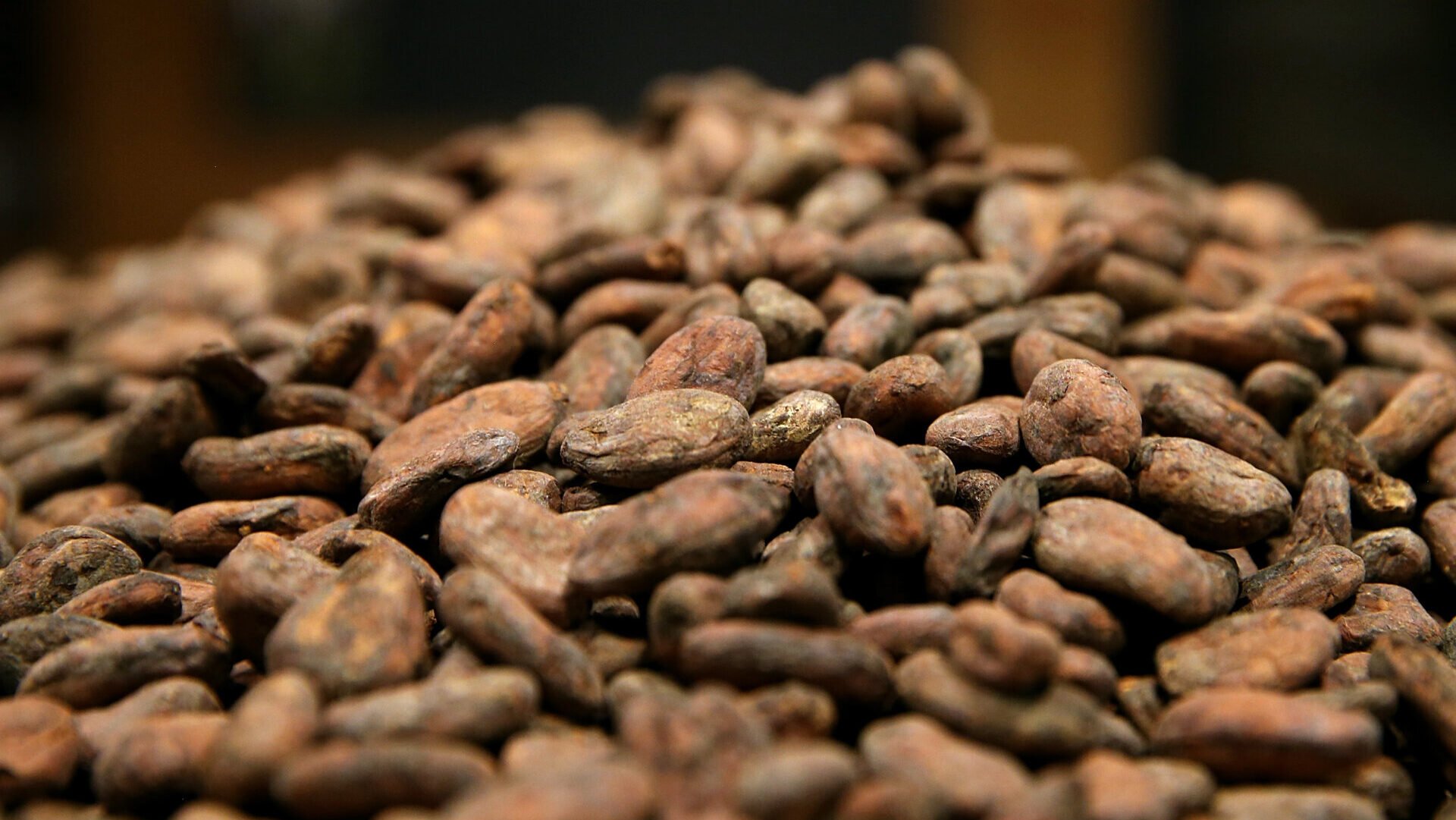 Lead Found in Nearly Half of Cocoa Products, New Study Warns