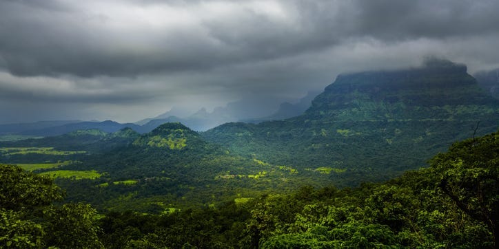 Indian police launch murder investigation after a US woman was found screaming and chained to a tree in the middle of a forest