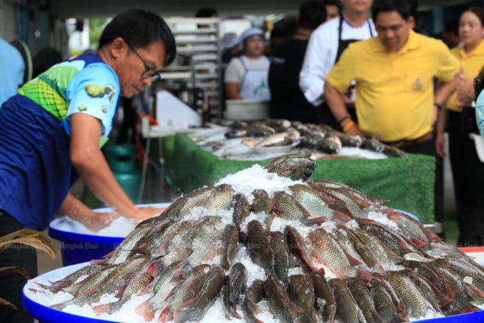 Ghana asked to provide DNA of fish