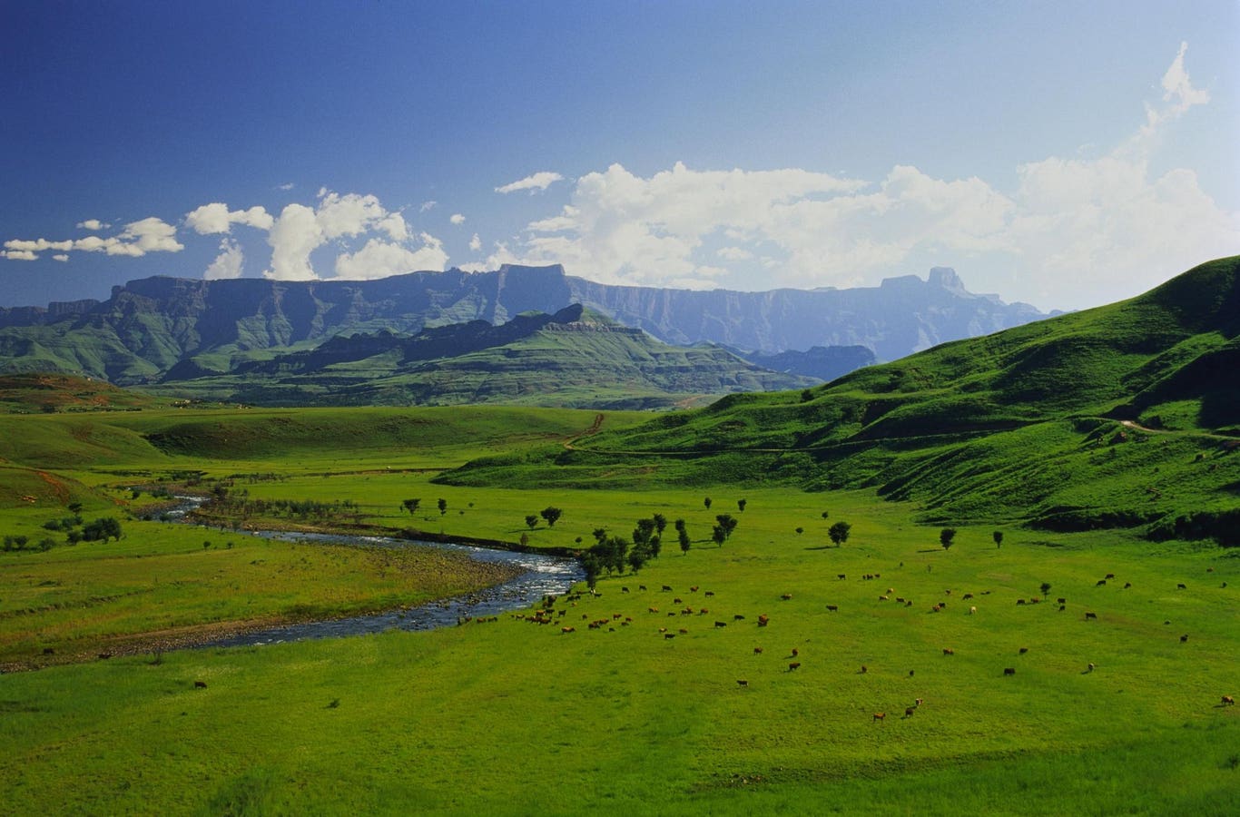 South Africa Gets A New Nature Reserve In 2024 In Stunning Drakensberg