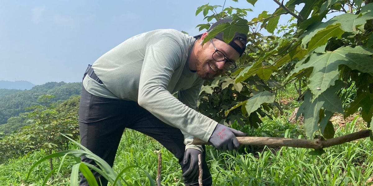 I spent two months working on a farm in South Korea for free lodging and food. It was hard work, but I saved at least $2,000.