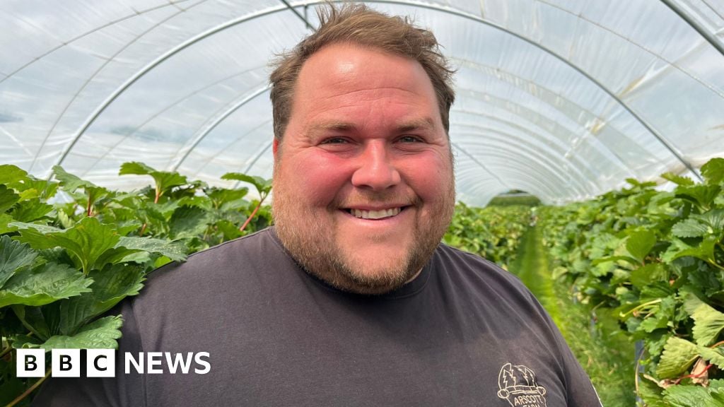 Farmer calls out customers stealing strawberries from pick your own events