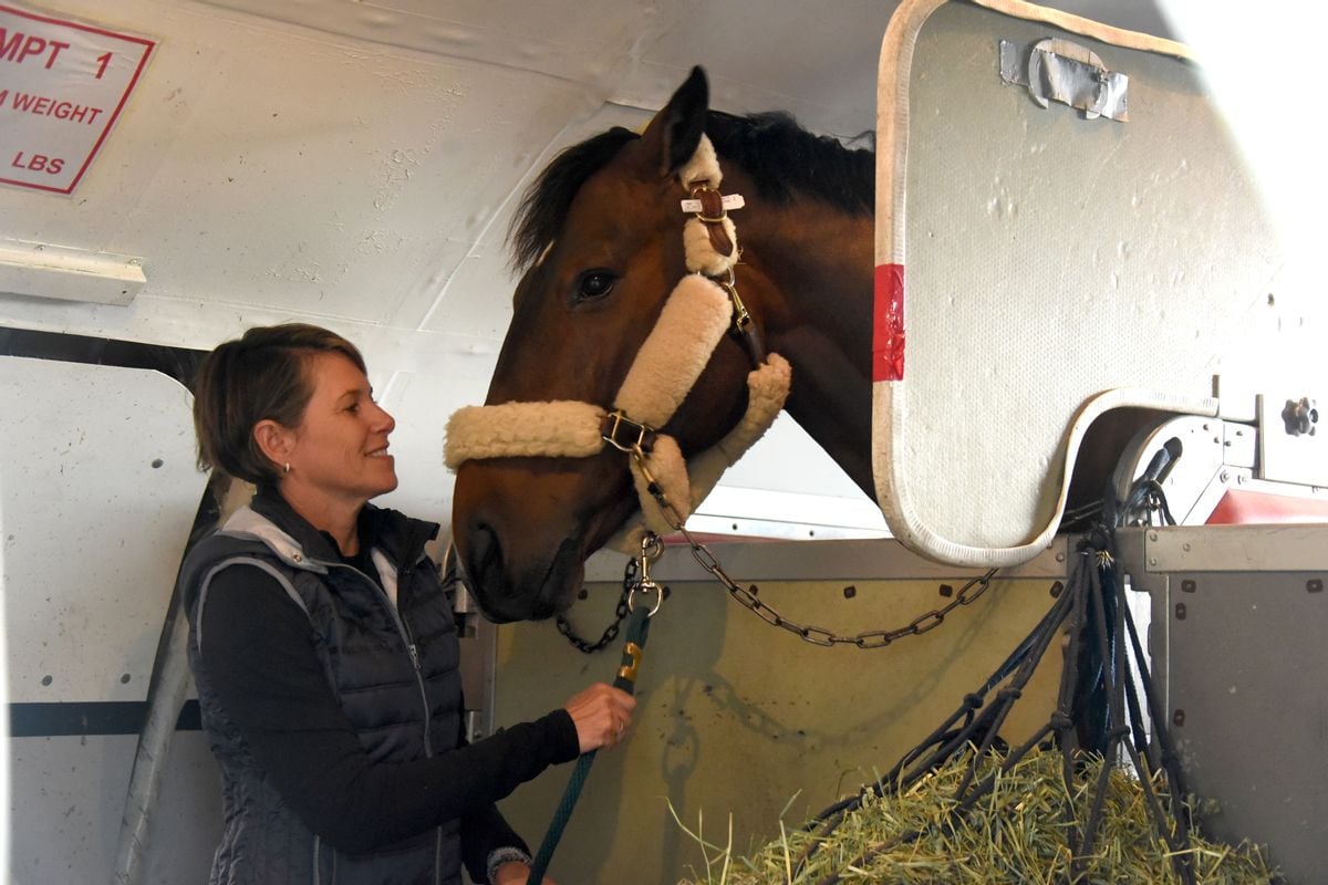 'Air Horse One' Plane Flew Horses to 2024 Paris Olympics?