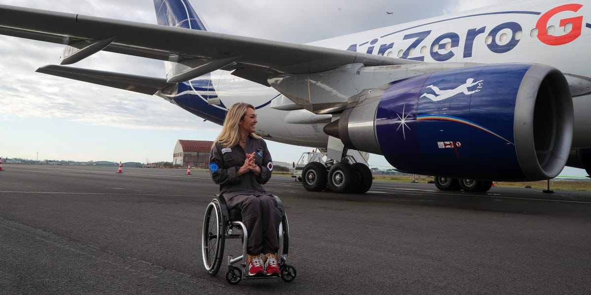 I use a wheelchair and dread flying. Pets are treated better on planes than disabled people.