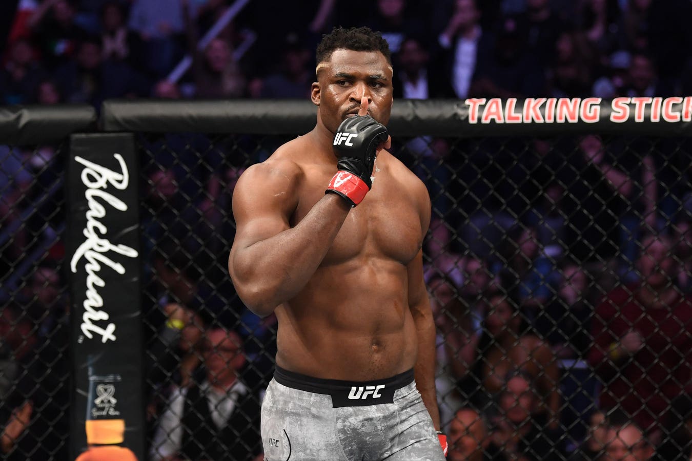 Opening Betting Odds For Francis Ngannou Vs. Renan Ferreira