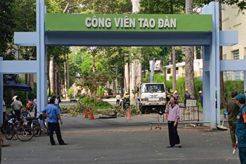 2 killed, 3 injured by falling tree branch while exercising in Ho Chi Minh City