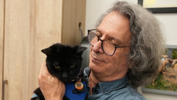 A part of Purrliament history: Last Hill cat survives cancer scare
