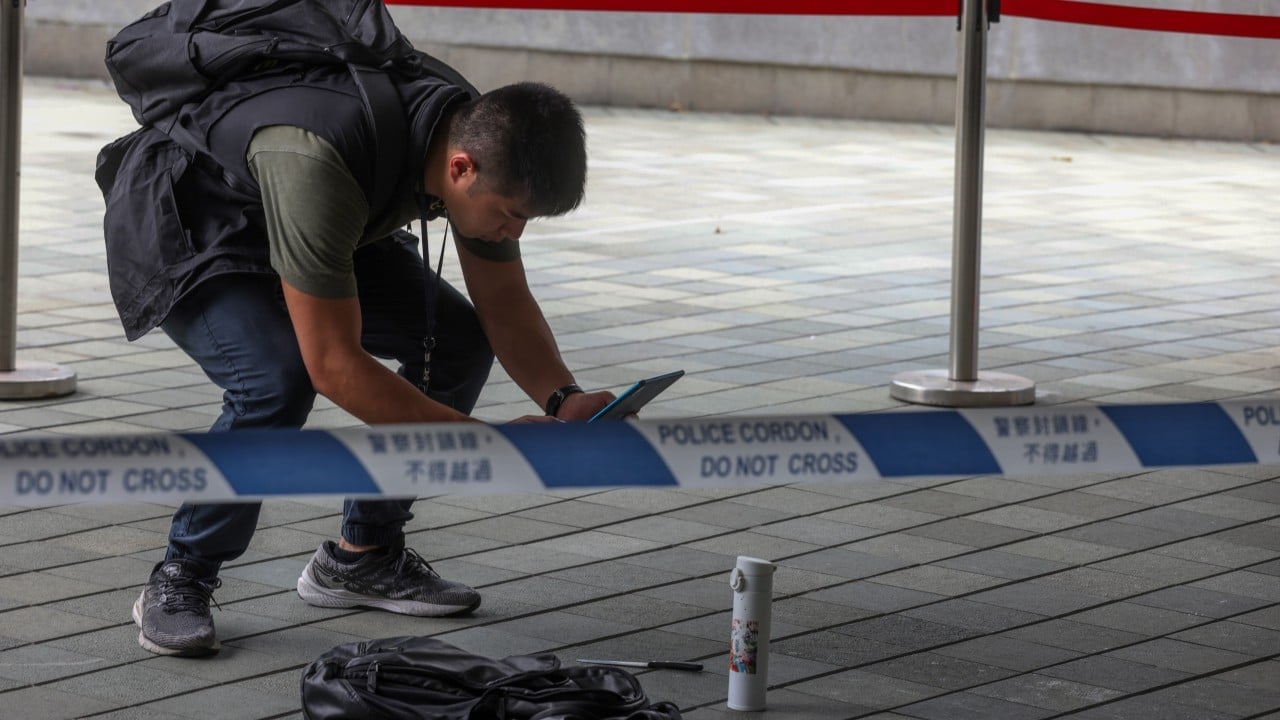 Autistic Hong Kong student, 18, spared jail for attacking guard outside government HQ