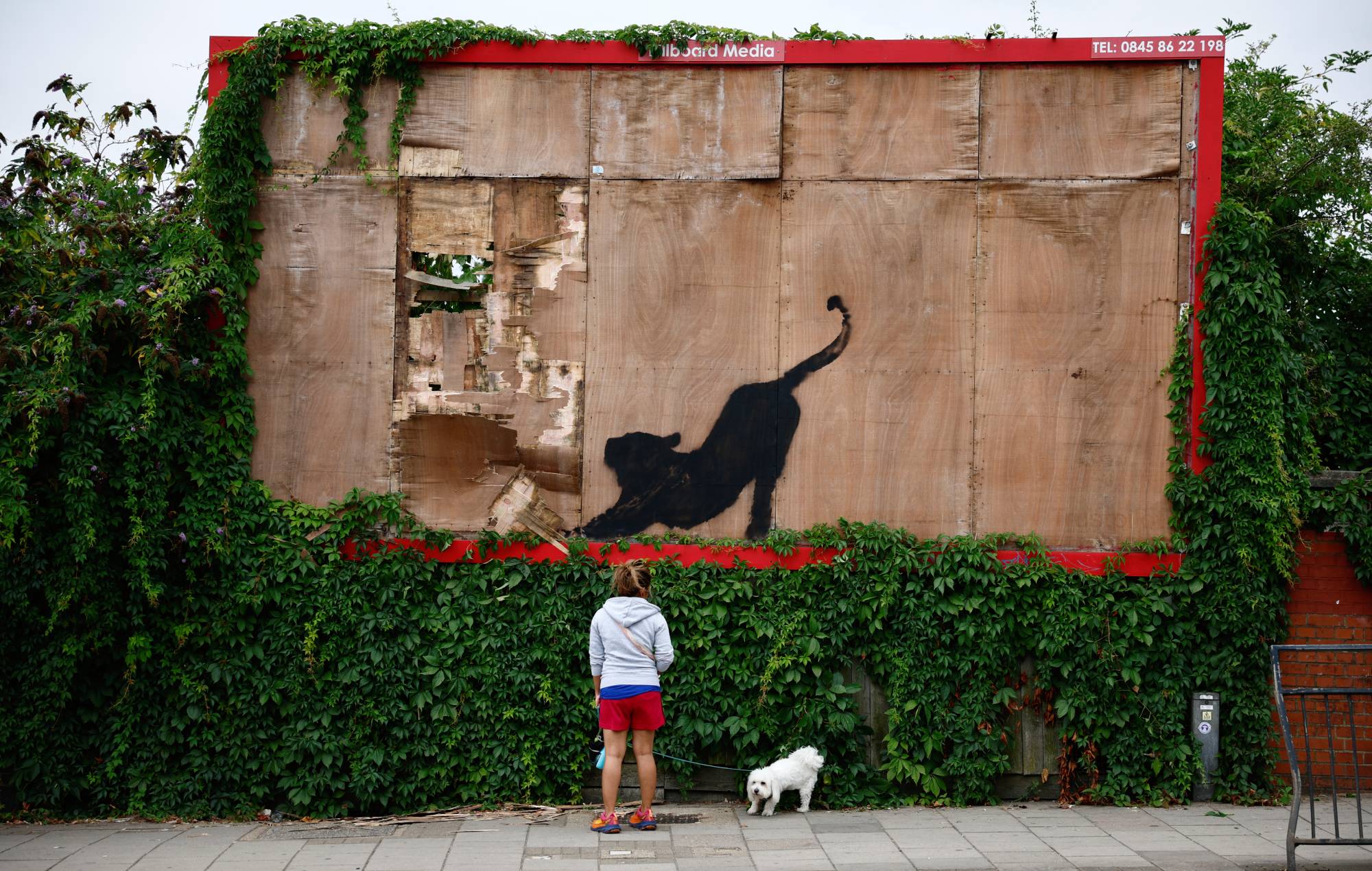 Banksy explains significance of new string of animal artworks as sixth piece appears in London