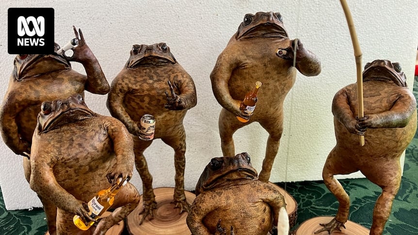 Cane toads and the unusual Aussies who eat, stuff, juice and wear them