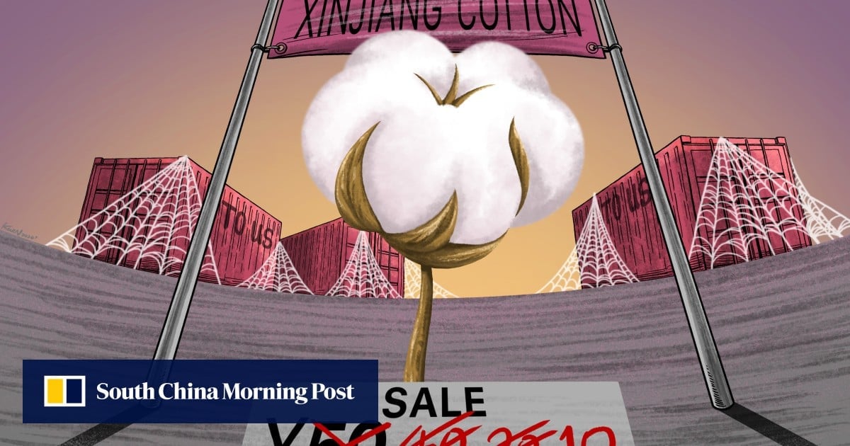 China has turned inward to sell Xinjiang cotton after a trade ban. Will it be enough?