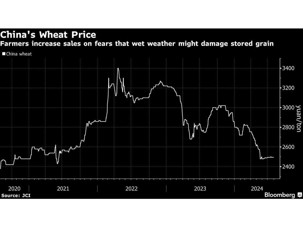 China to Stockpile More Wheat as Heavy Rains Force Local Sales