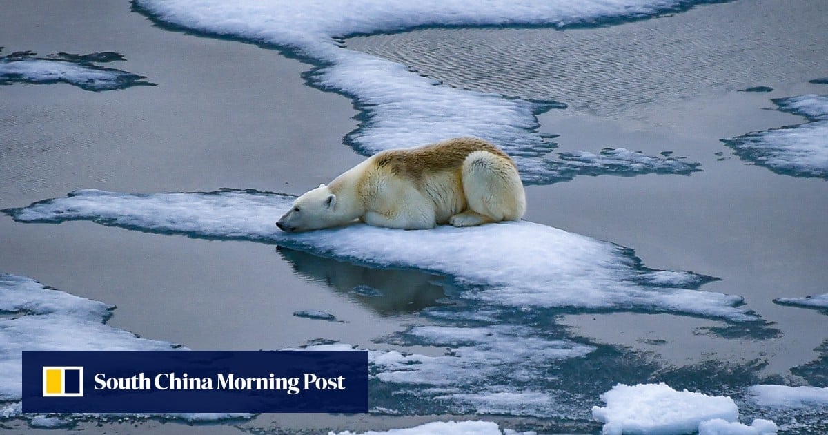 Chinese-led study finds uneven melting of polar ice could lead to huge global disruption