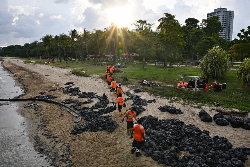 Clean-up operations for affected beaches from oil spill likely to be completed in next month or so