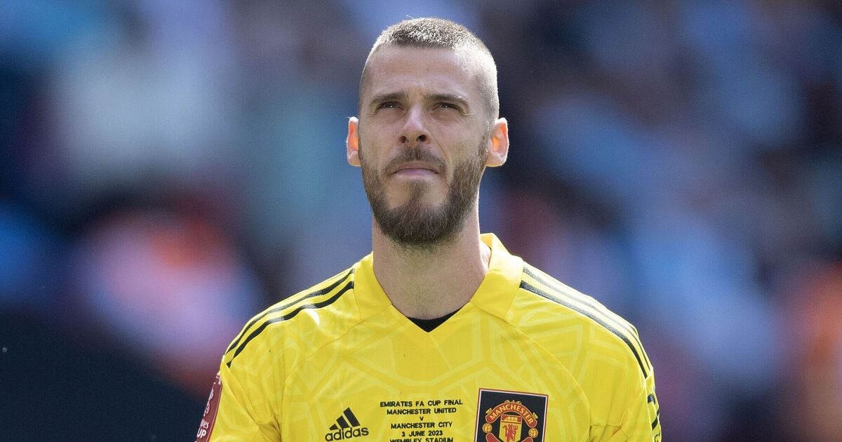 David de Gea may have finally found new club 13 months after Man Utd exit