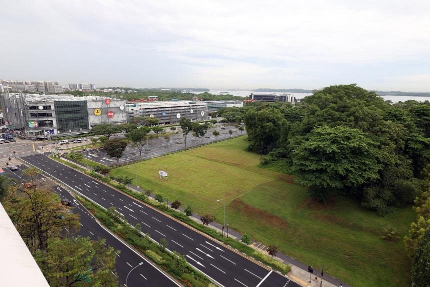 Developers more upbeat about Pasir Ris EC site than Margaret Drive private condo site