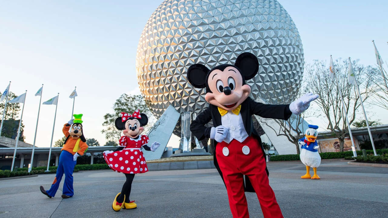 Disney Says Disney Plus Terms Of Service Prevent Lawsuit Over Allergy Death