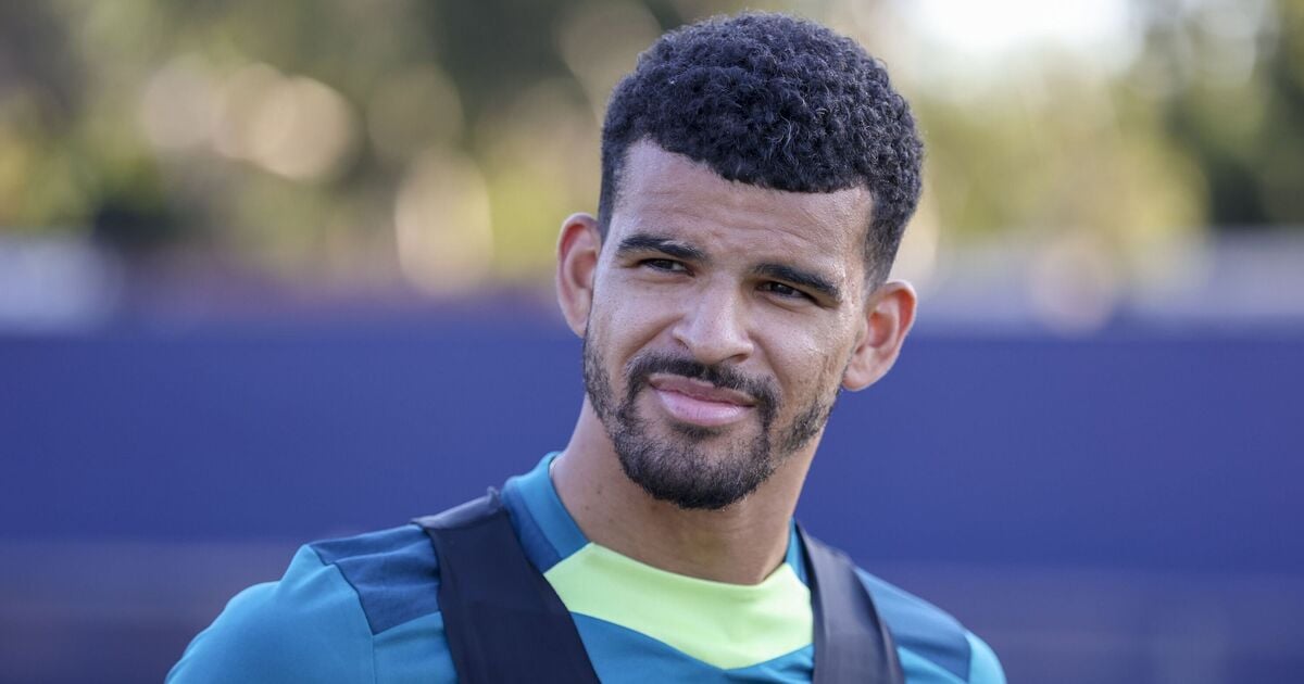 Dominic Solanke teases Tottenham transfer after Ange Postecoglou comments