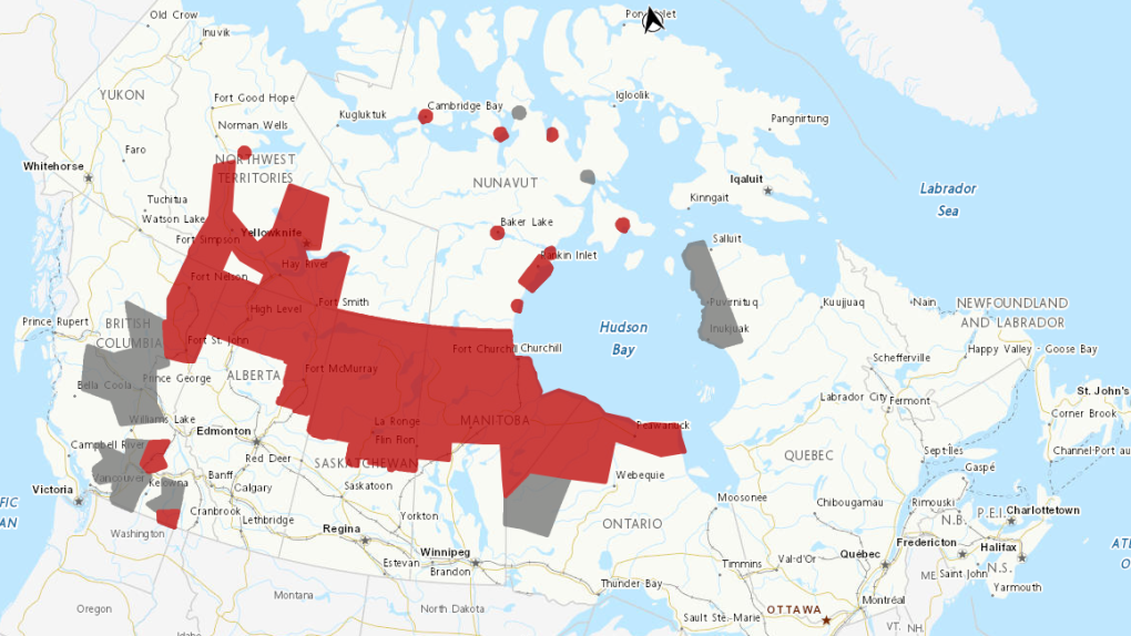 Extreme heat, poor air quality: Here is Canada's forecast for the week 