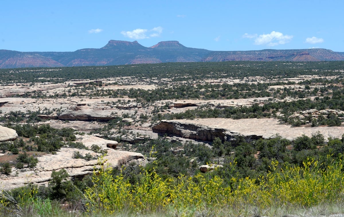 Controversial Bears Ears tower proposal scrapped amid backlash from environmentalists, tribes