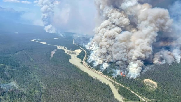 Fallen tree fatally injures Alberta firefighter battling Jasper-area wildfire