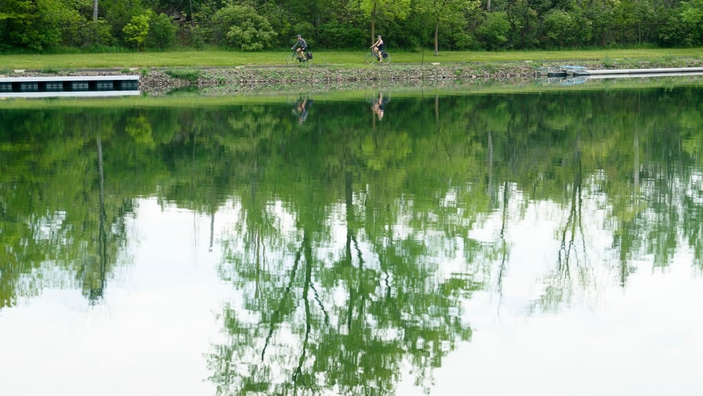 Festivalgoer's body found in Montreal's Olympic Basin