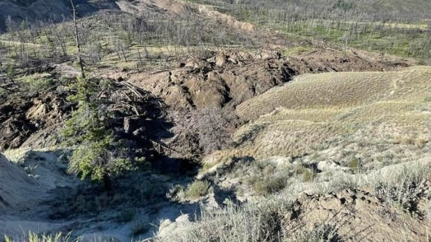 Flash floods 'imminent' after Chilcotin River landslide in B.C.: officials