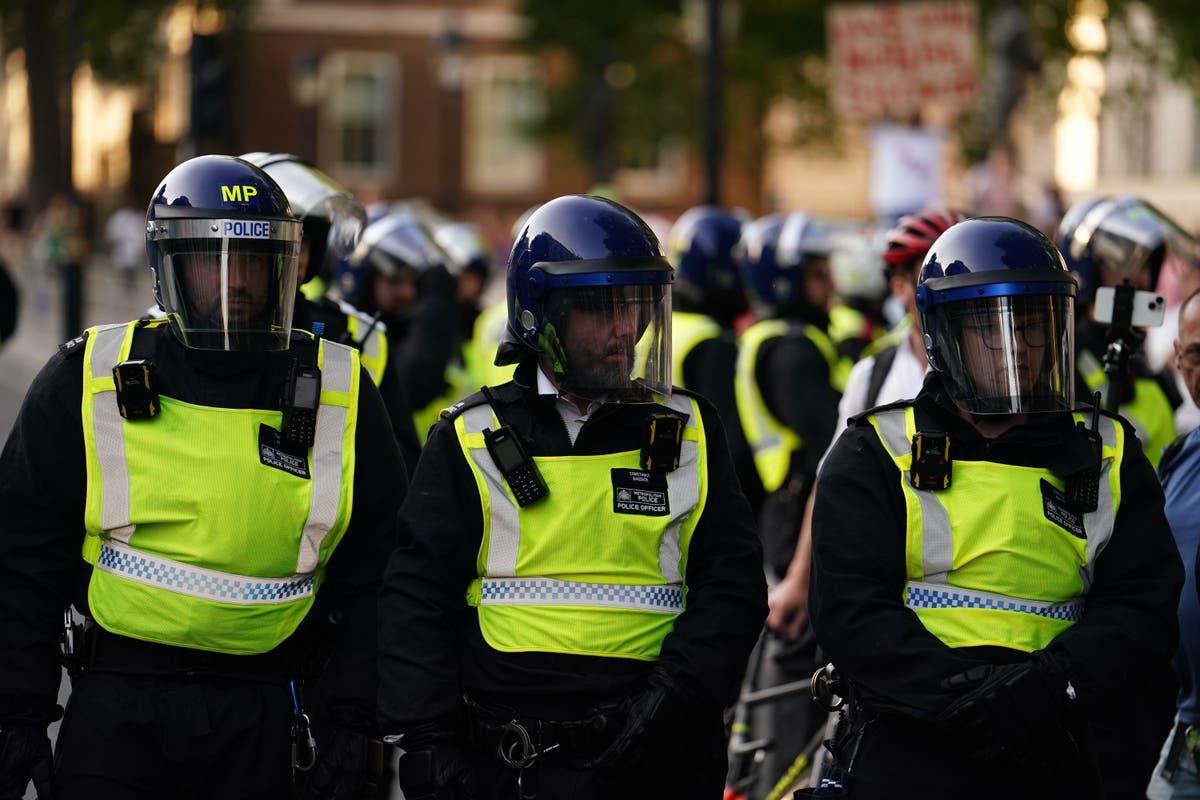 Former milkman handed 14-month prison term after charging at police in Whitehall