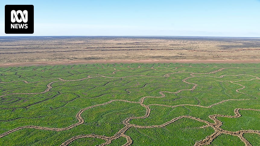 Fracking ban takes effect in Queensland's Channel Country