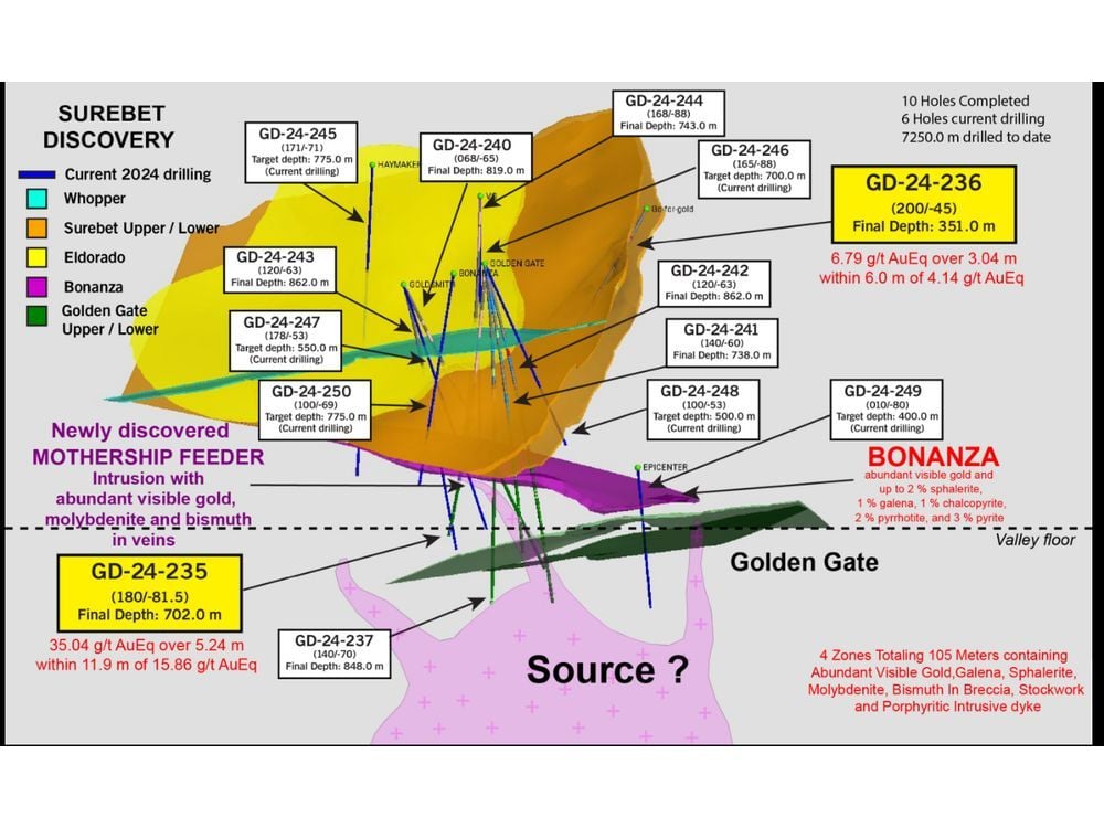 Goliath Drilling Confirms 100% Of The First 8 Holes Of 2024 Hit Significant Mineralization, 75% Of The Holes Contain Abundant Visible Gold Up To 1.3mm In Size, Surebet Discovery, Golden Triangle B.C.