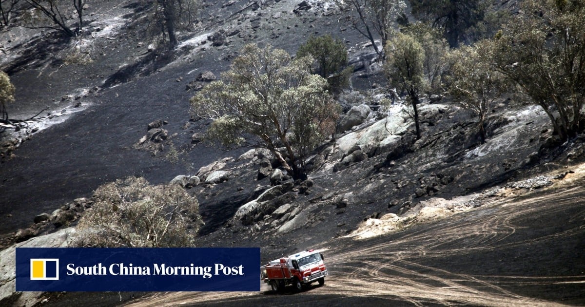 Grassland blazes are biggest source of carbon emissions from wildfires, Chinese study says