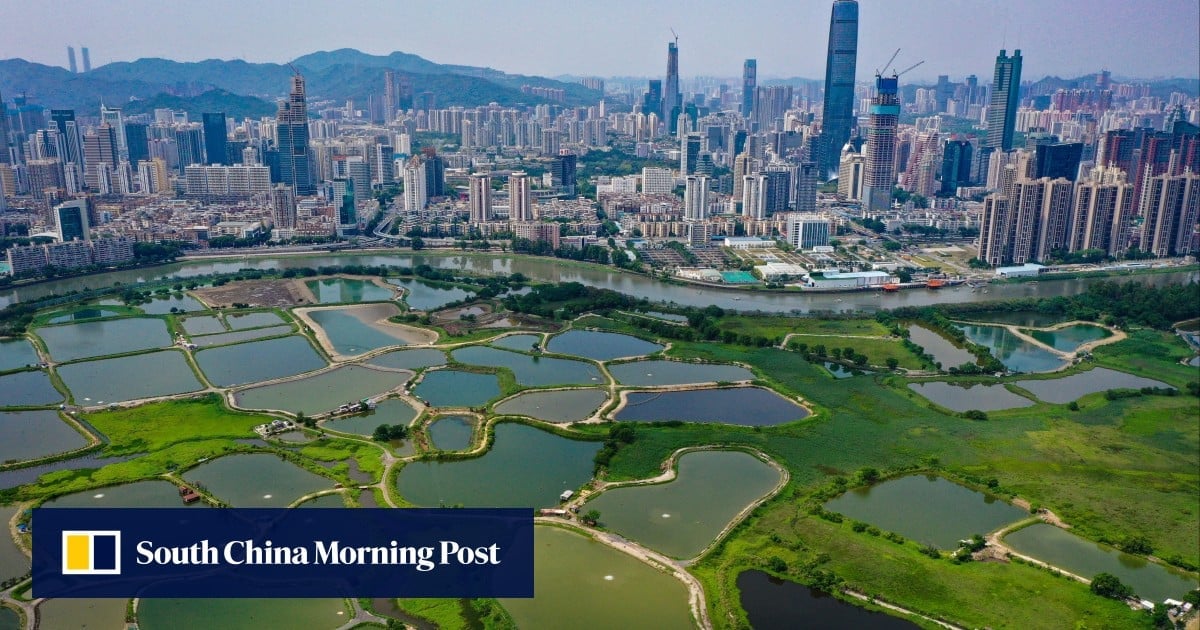 Hong Kong architects call for public projects to be launched early to avoid sector shrinking