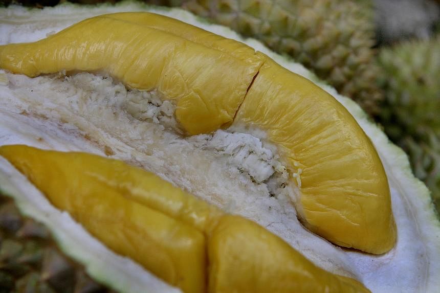 Hong Kong authorities sniff out heroin hidden among durians in shipment from Malaysia