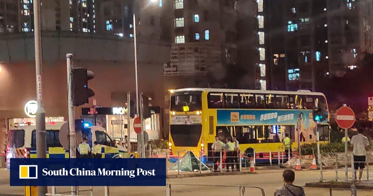 Hong Kong bus driver arrested after vehicle allegedly hits and kills pedestrian