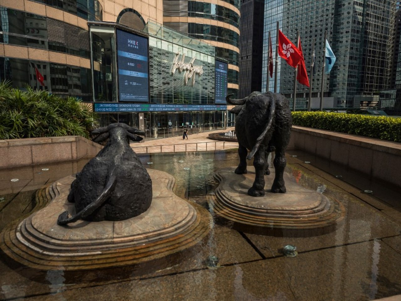 Hong Kong stocks sink at open