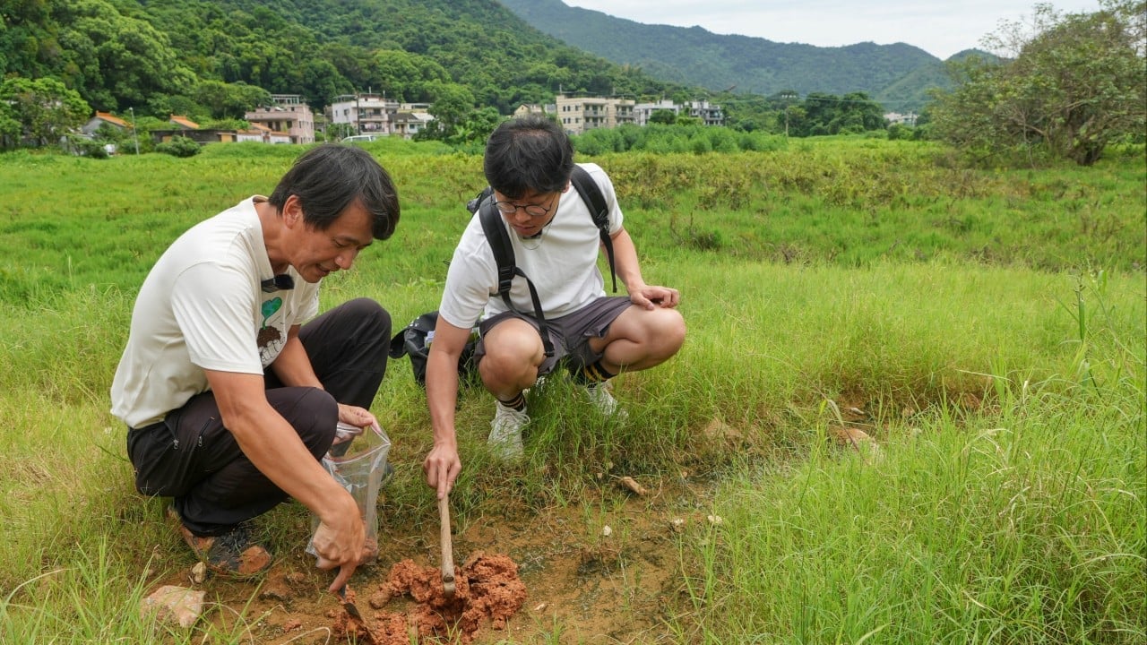 Hong Kong urged to preserve good-quality farmland at Northern Metropolis site