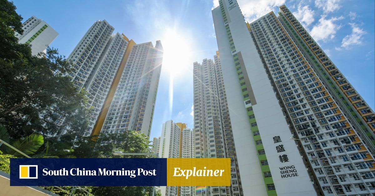How is Hong Kong clamping down on abuse of public housing? The Post outlines the tactics